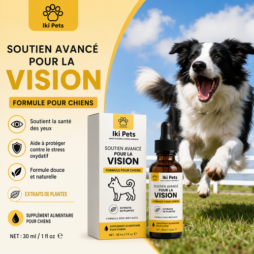 Soutien Avancé Pour La Vision