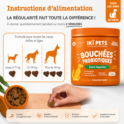 Bouchées Probiotiques Premium