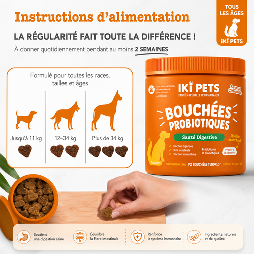 Bouchées Probiotiques Premium