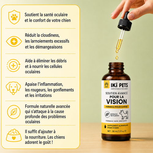 Soutien Avancé Pour La Vision