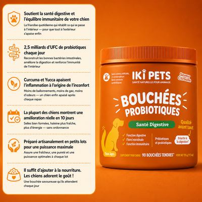 Bouchées Probiotiques Premium