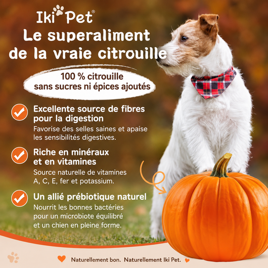 Bouchées Probiotiques Premium