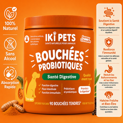 Bouchées Probiotiques Premium