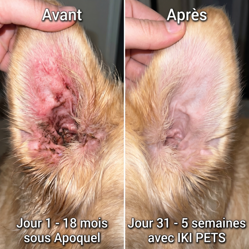 Collagène Liquide Premium