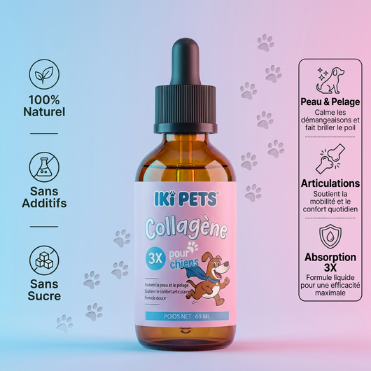Collagène Liquide Premium