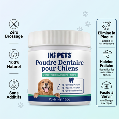 Soin Dentaire Poudre Premium